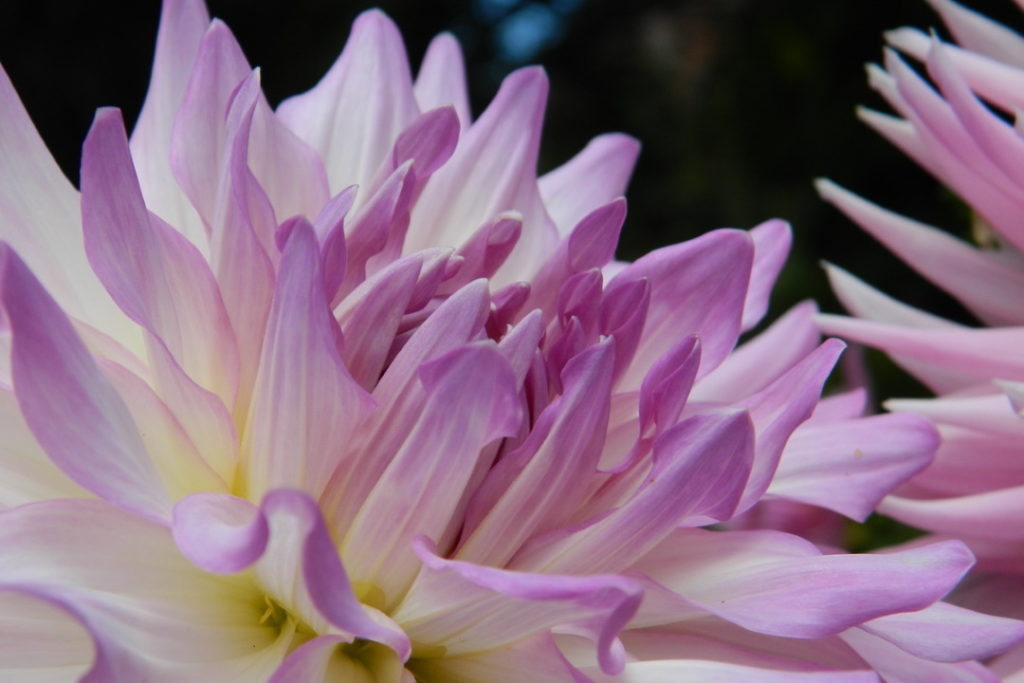 Intertwining Mindfulness to Create Calm