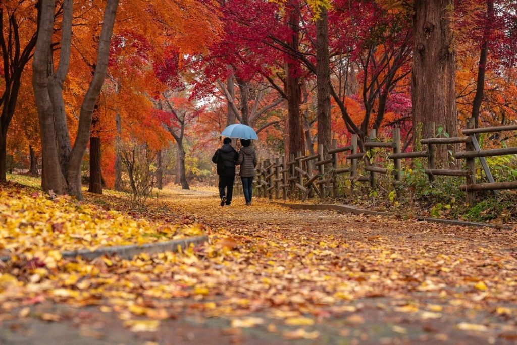 Happiness Walk