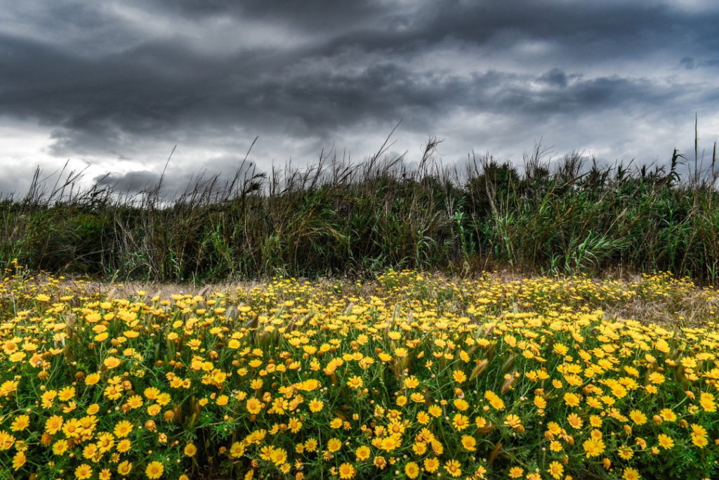 landscape-4137802_1920