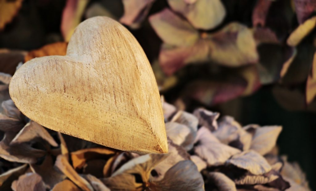 Heart on leaves