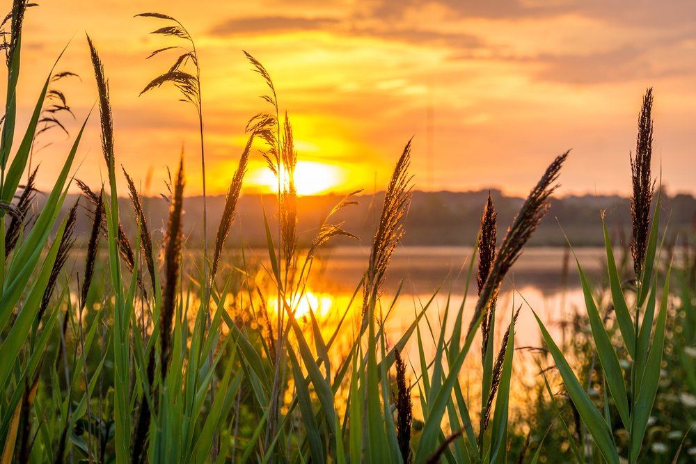 sunrise-1670979_1920.jpg