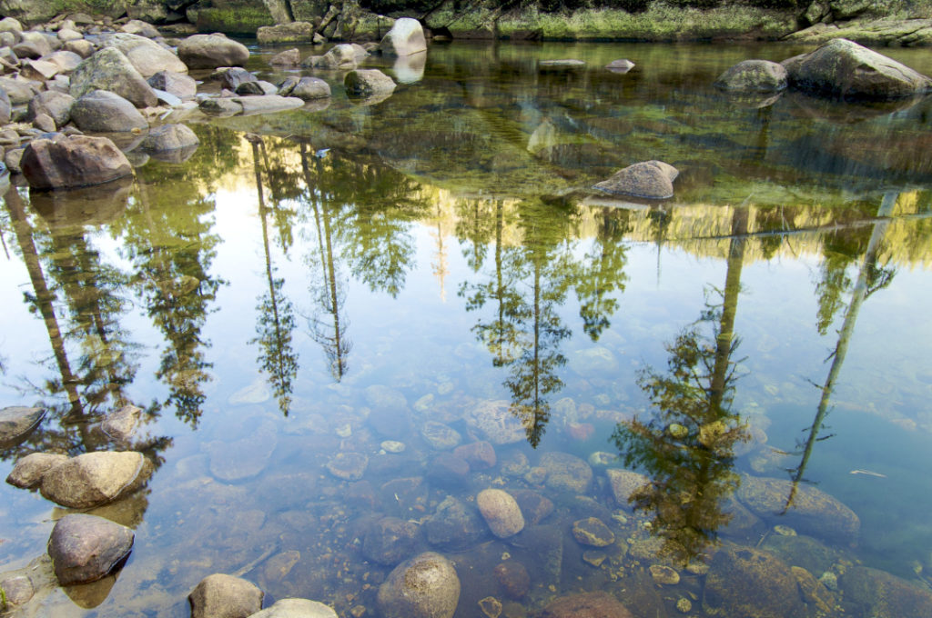Navigating Emotional Dis-ease Self-Reflection and Vulnerability 