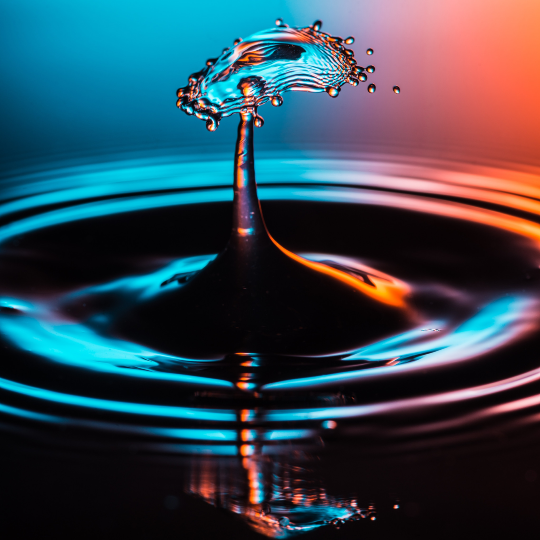 Article - reflection