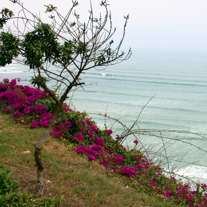Blog Image - Cliffs of Lima