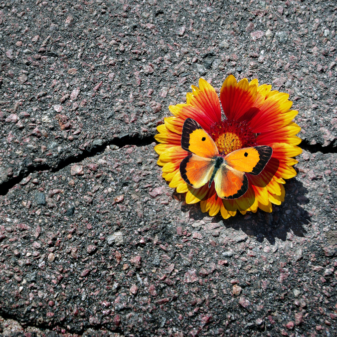 Blog - Grief and Life