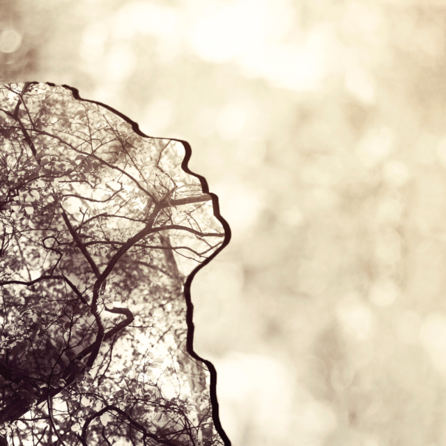 Blog Post - Holding On While Letting Go