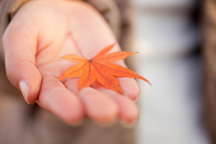 Giving and Receiving