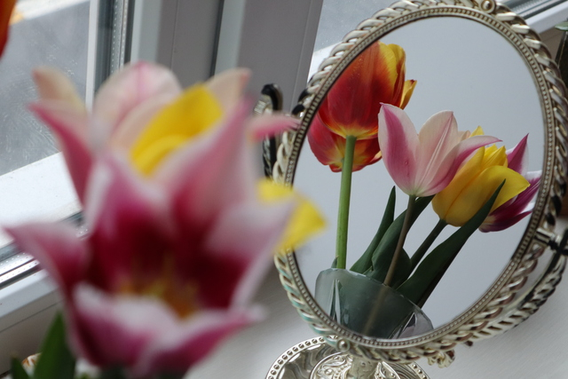 Gail -Blog - July